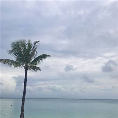 安博体育下载手机版