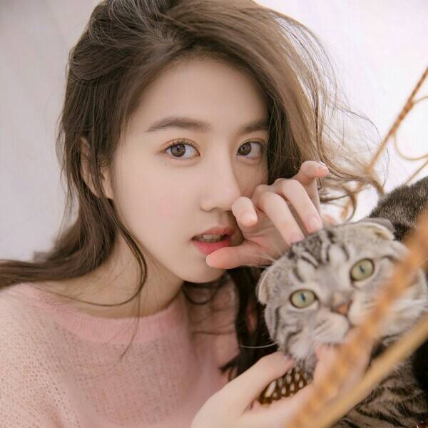 BOB体育登录APP下载